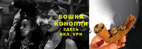 МДПВ Горнозаводск