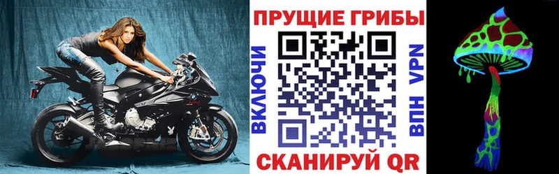 площадка состав  наркотики  Долгопрудный  Псилоцибиновые грибы Magic Shrooms 